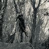 gruff.mtb
