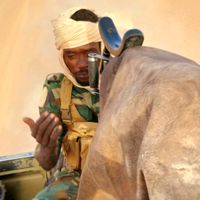 الصوت الأصلي