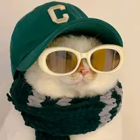 la_vida_gatuna1