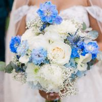 mietmeatthewedding