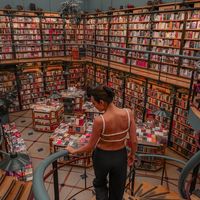 bookswithcaroo