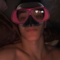 lovari_rst1