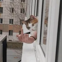 original sound - chillex_and_flex