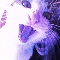 here.is.denyxw
