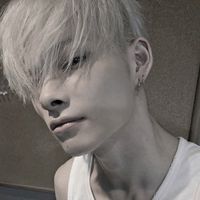 svttcherry