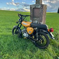 _luca_455