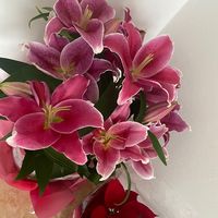 alexia_050