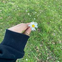 ghena_aa
