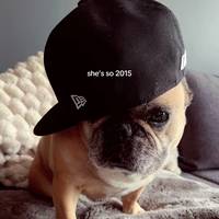 TikTok Account Photo