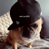 TikTok Account Photo