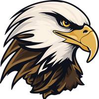 eagle.in.the.sky