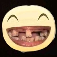 13asineslavida13