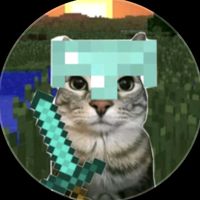 son original - The Wise Cat