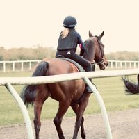 zena_s_w_28