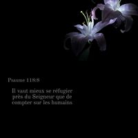 _verset.biblique_