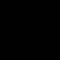 rakka300