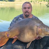 cedricportelli