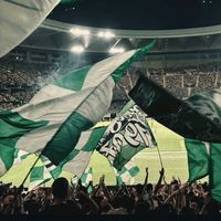 beetisfans1907