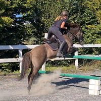 equii...rebecka