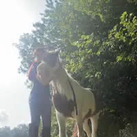 nigels_adventures3