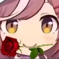 TikTok Account - https://p16-pu-no.tiktokcdn-eu.com/tos-no1a-avt-0068c001-no/797d395c706a698dc115b2d7c352b9bf~tplv-tiktokx-cropcenter:200:200.jpeg