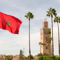 maghrabi7773