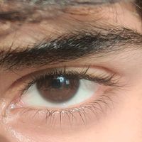 ammar_sticxs
