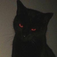 TikTok Account - https://p16-pu-no.tiktokcdn-eu.com/tos-no1a-avt-0068c001-no/7cc48f3f8403243fa51a86109d6c9677~tplv-tiktokx-cropcenter:200:200.jpeg