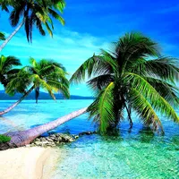 original sound - officialdancehall76