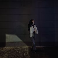 ainara_ecbr