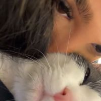 kimkpriime
