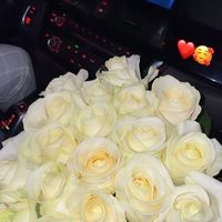 manele_353
