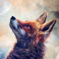 littlefox330