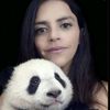 pandachoux2b