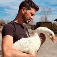 besso.erik