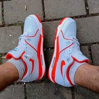 sergiu.officia108