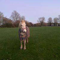 anastasia.eq_