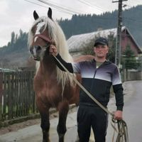 gheorghezancu