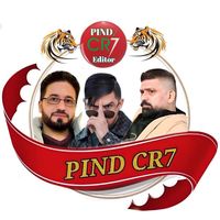 pindcr7