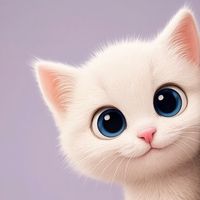 cuddle_paws_fr
