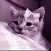 Šiukšle deg pragare