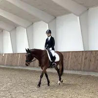 ponyrytteren_maja