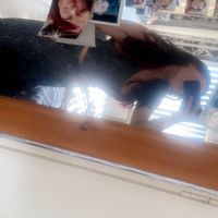 rhe_lear