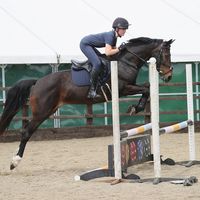 molly.equinex.backup