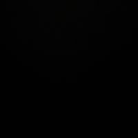 sc0n0sciut0444