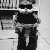 katzkix