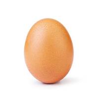 recordeggsol