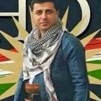 ahmed.roj.ava
