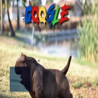 Cinnamon toast crunch beat