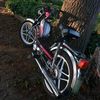 agrar_pics_borken
